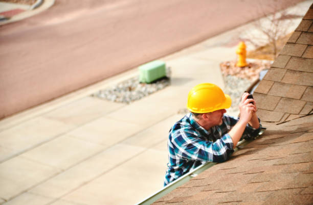 Best Roof Leak Repair  in Alexandria, MN