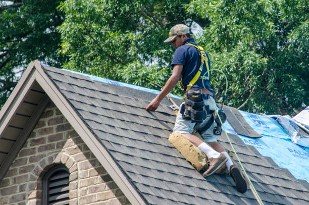 Best Metal Roofing Contractor  in Alexandria, MN