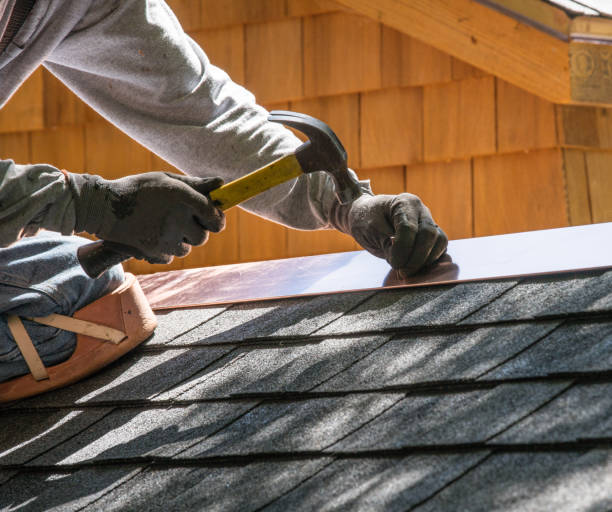 Best Roof Gutter Cleaning  in Alexandria, MN